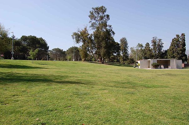 Grass.Griffith.Park.14