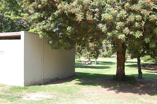 Grass.Griffith.Park.08