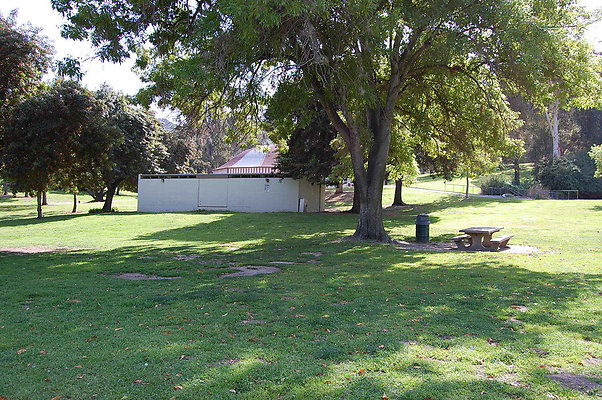Grass.Griffith.Park.18