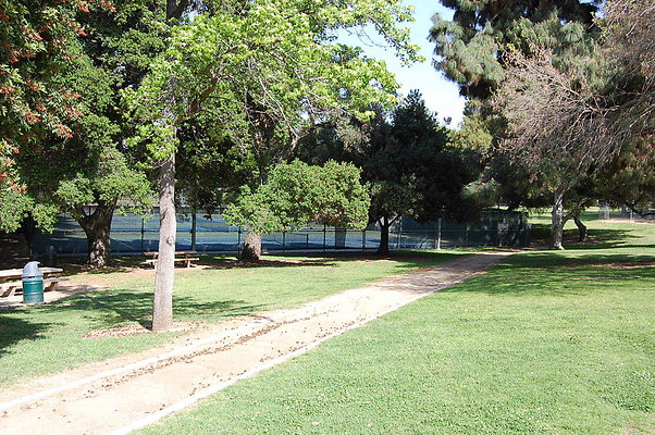Grass.Griffith.Park.09