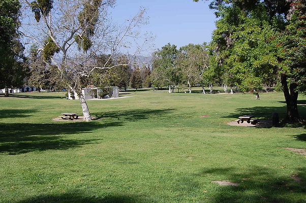 Grass.Griffith.Park.26