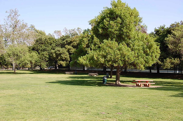 Grass.Griffith.Park.21