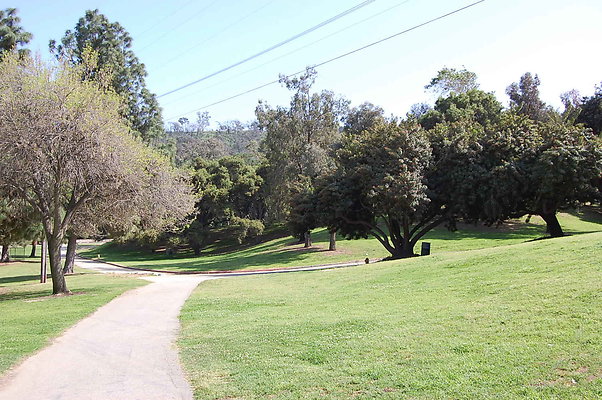 Grass.Griffith.Park.04