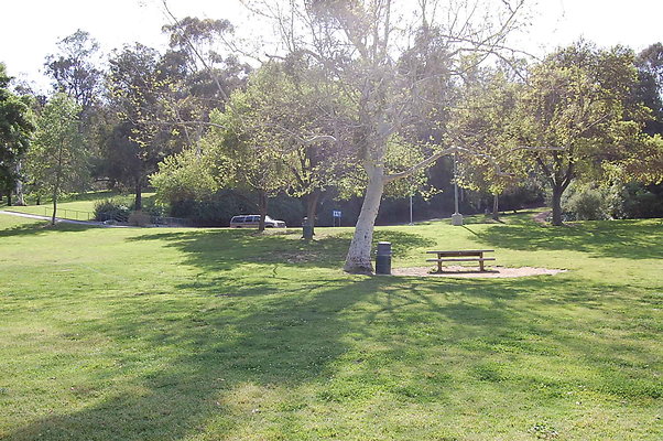 Grass.Griffith.Park.23