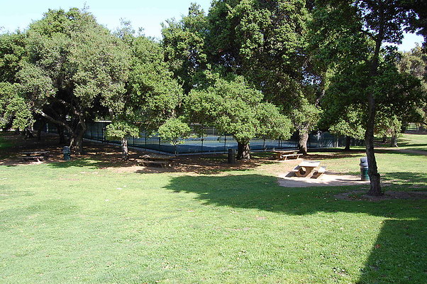 Grass.Griffith.Park.12