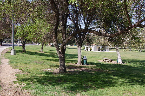 Grass.Griffith.Park.01