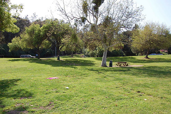 Grass.Griffith.Park.13