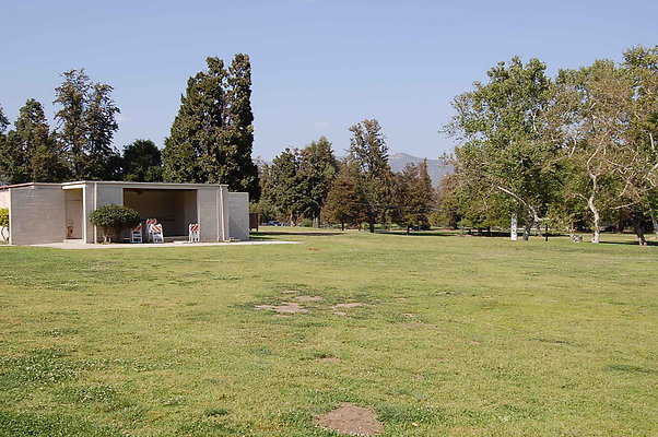 Grass.Griffith.Park.19