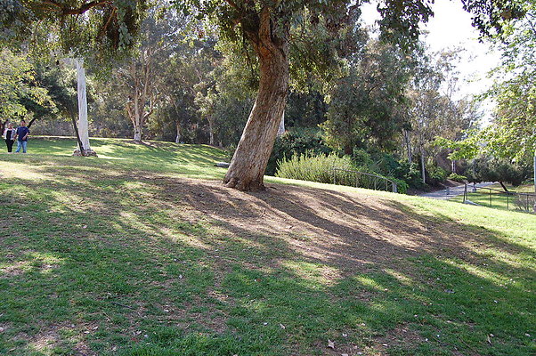 Grass.Griffith.Park.06