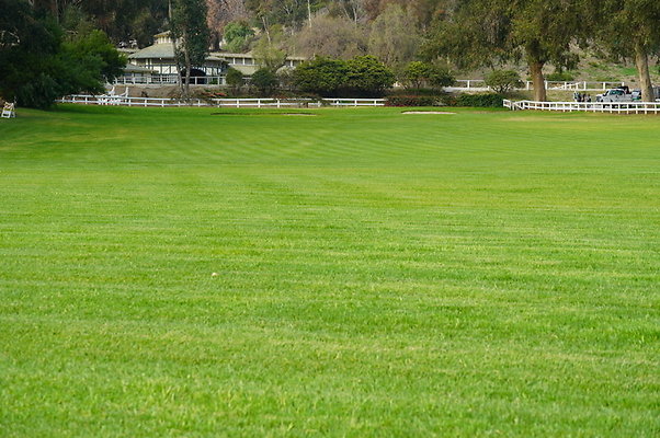 Will.Rogers.Grass.08