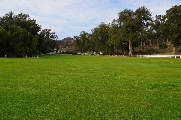 Will.Rogers.Grass.02