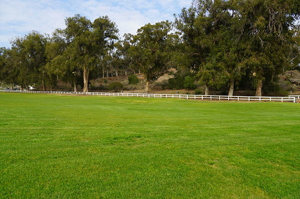 Will.Rogers.Grass.03