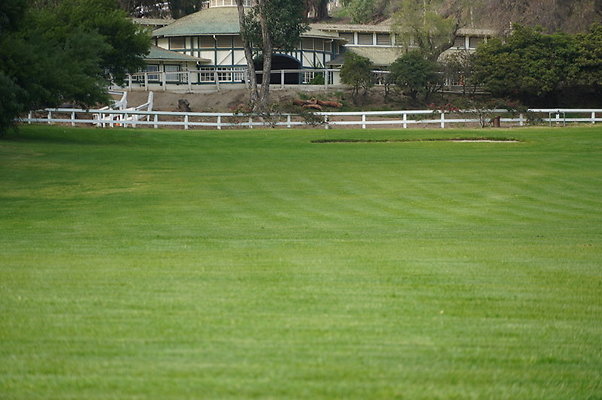 Will.Rogers.Grass.07