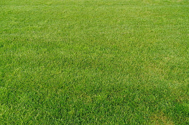 Will.Rogers.Grass.11