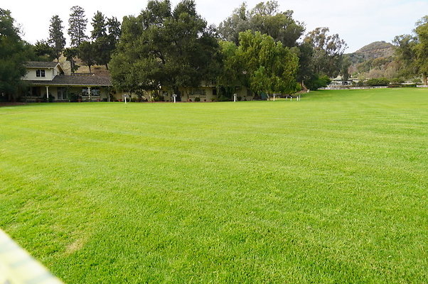 Will.Rogers.Grass.04