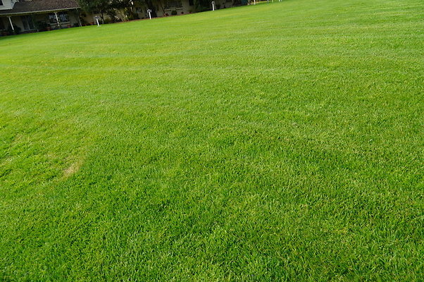 Will.Rogers.Grass.10
