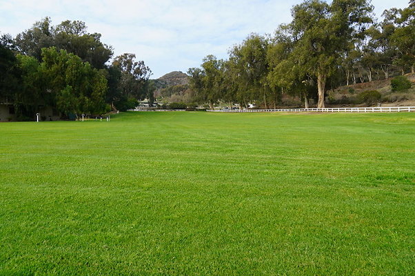 Will.Rogers.Grass.09