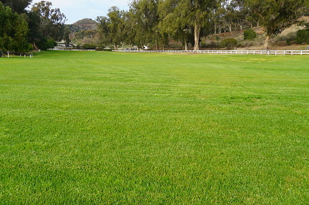 Will.Rogers.Grass.05