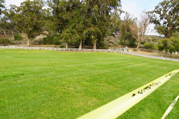 Will.Rogers.Grass.06