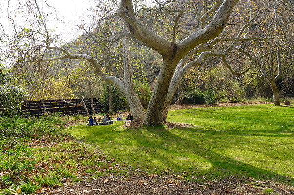 Temescal.GateWay.Syc.Cyn.04