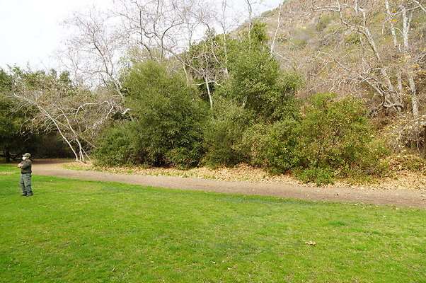 Temescal.GateWay.Syc.Cyn.17