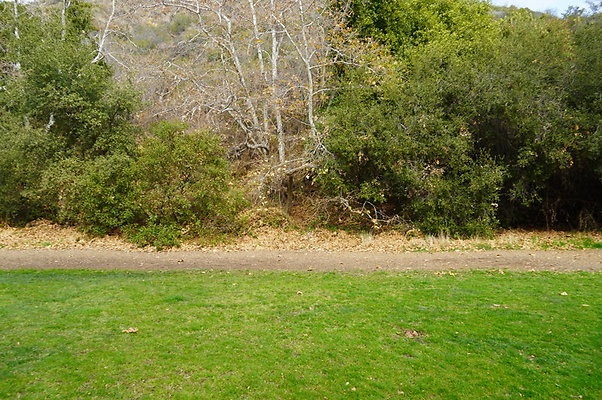 Temescal.GateWay.Syc.Cyn.18