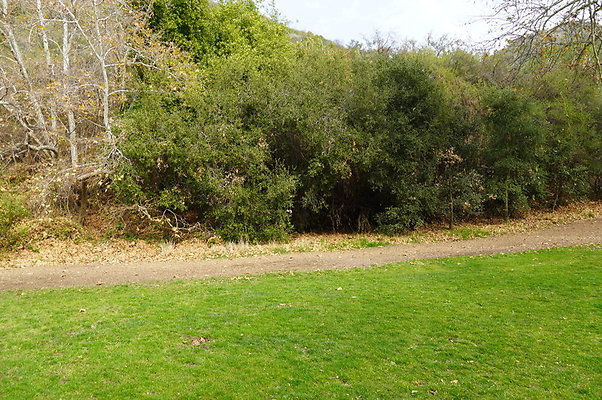 Temescal.GateWay.Syc.Cyn.19