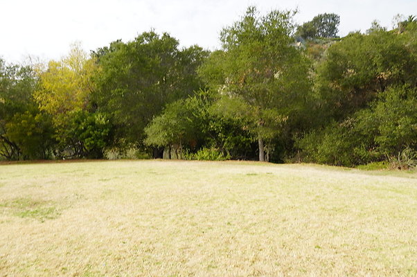 Temescal.GateWay.Front.Grass.18