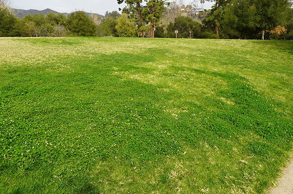 Temescal.GateWay.Front.Grass.35