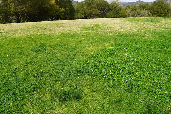 Temescal.GateWay.Front.Grass.34