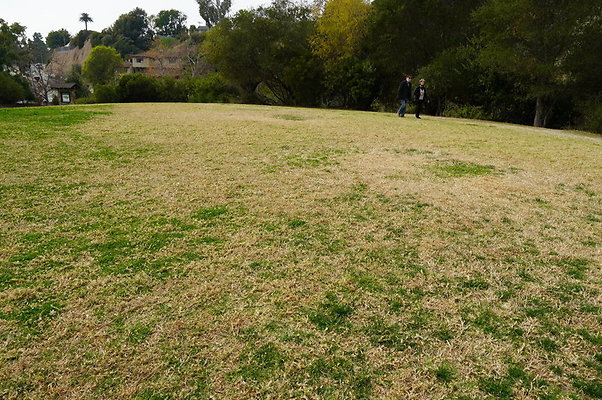 Temescal.GateWay.Front.Grass.25