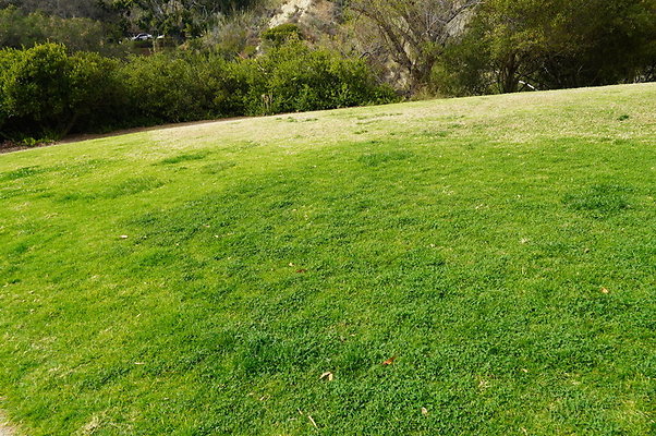 Temescal.GateWay.Front.Grass.33