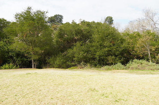 Temescal.GateWay.Front.Grass.19