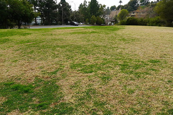 Temescal.GateWay.Front.Grass.24