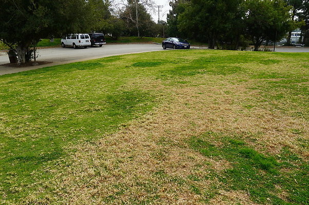 Temescal.GateWay.Front.Grass.23