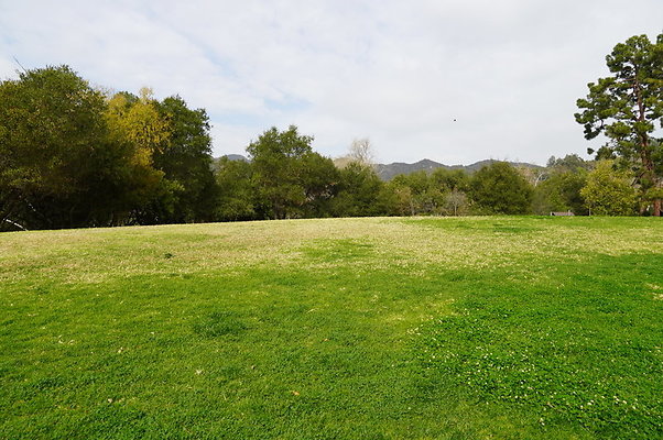 Temescal.GateWay.Front.Grass.31