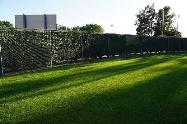 BHS-JV Softball 77 BHS-JV Softball 77