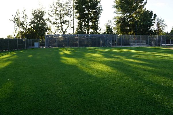 BHS-JV Softball 71 BHS-JV Softball 71