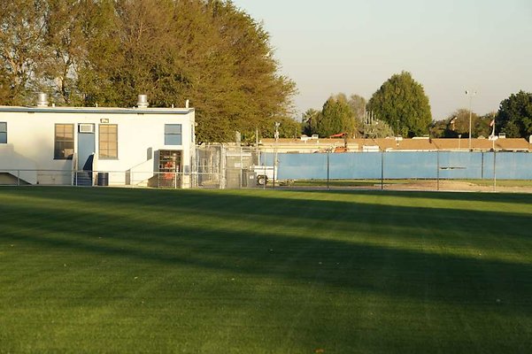 Soccer 24