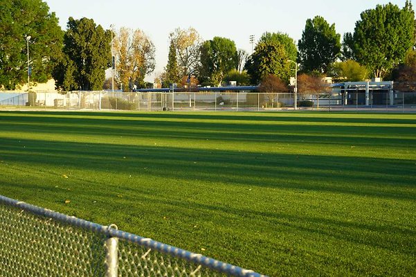 Soccer 31