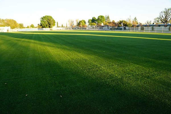 Soccer 06