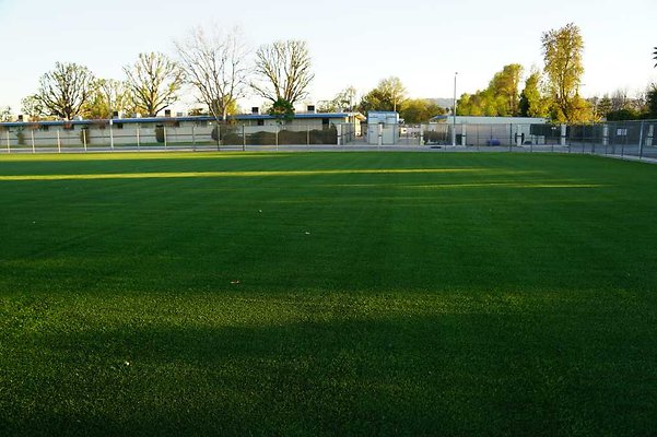 Soccer 09