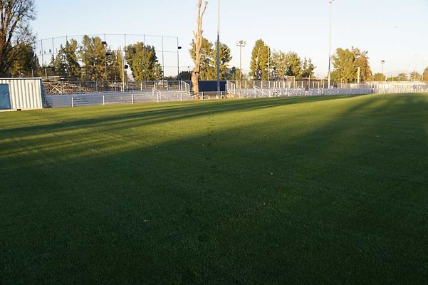 Soccer 03