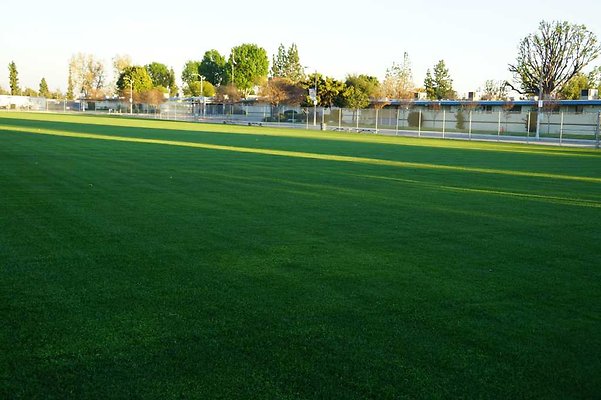Soccer 19