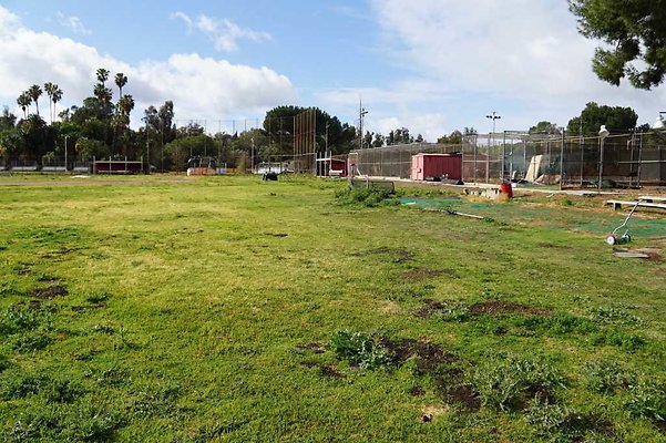 Pierce Baseball 62 Pierce Baseball 62