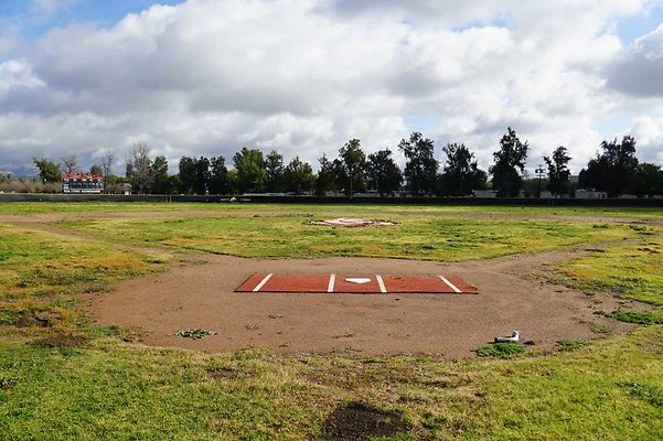 Pierce Baseball 04