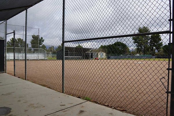 Pierce Softball 59