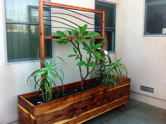 Redwood planter box