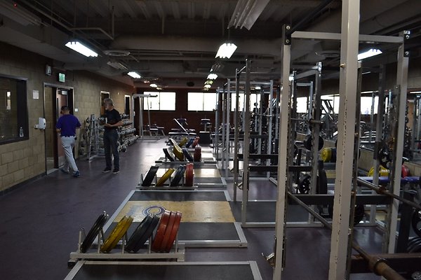 Cath Weights05