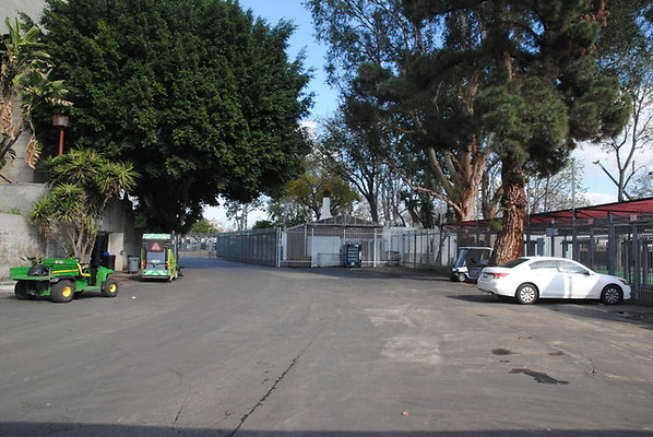DSC 0627
